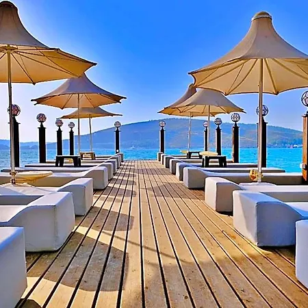 Oscar Seaside & Irmene