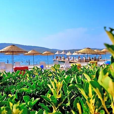 Oscar Seaside & 4* Irmene